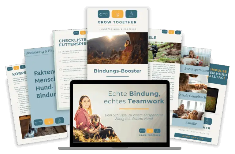 Echte Bindung – echtes Teamwork